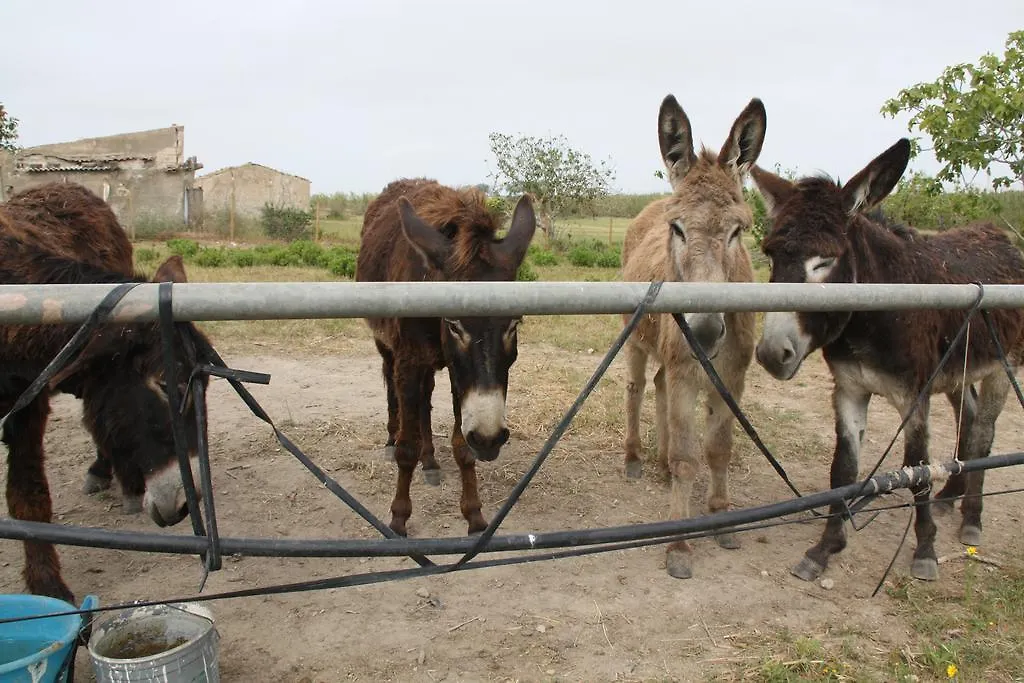 Agriturismo Agrimaccari Marzamemi-Vendicari - Esperienza Autentica Siciliana Italy